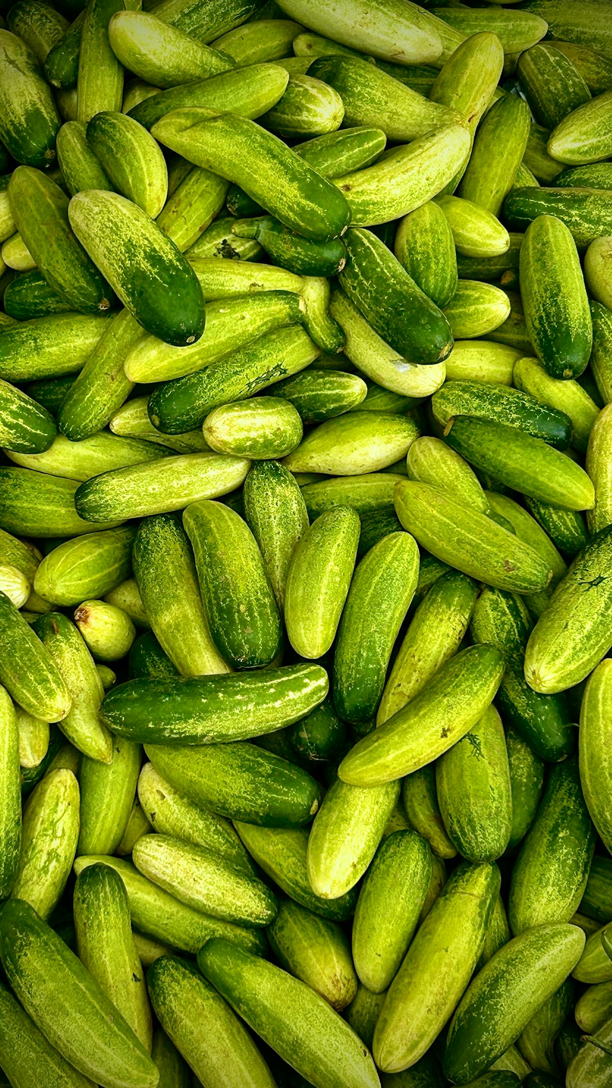 კიტრი